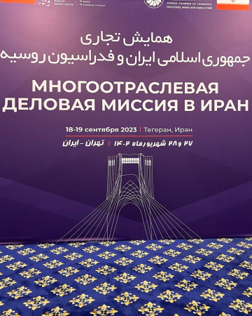 Деловая миссия в Иран